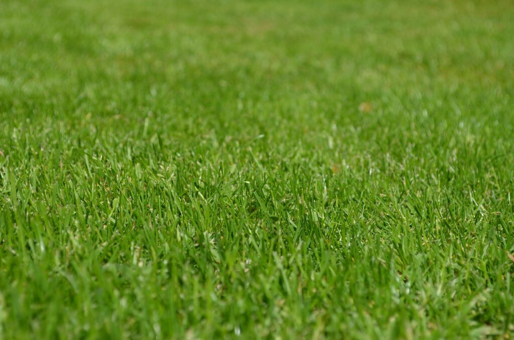 DIY】意外とシンプル？！芝生の貼り方＆おすすめ芝生7選 | きちんとズボラ