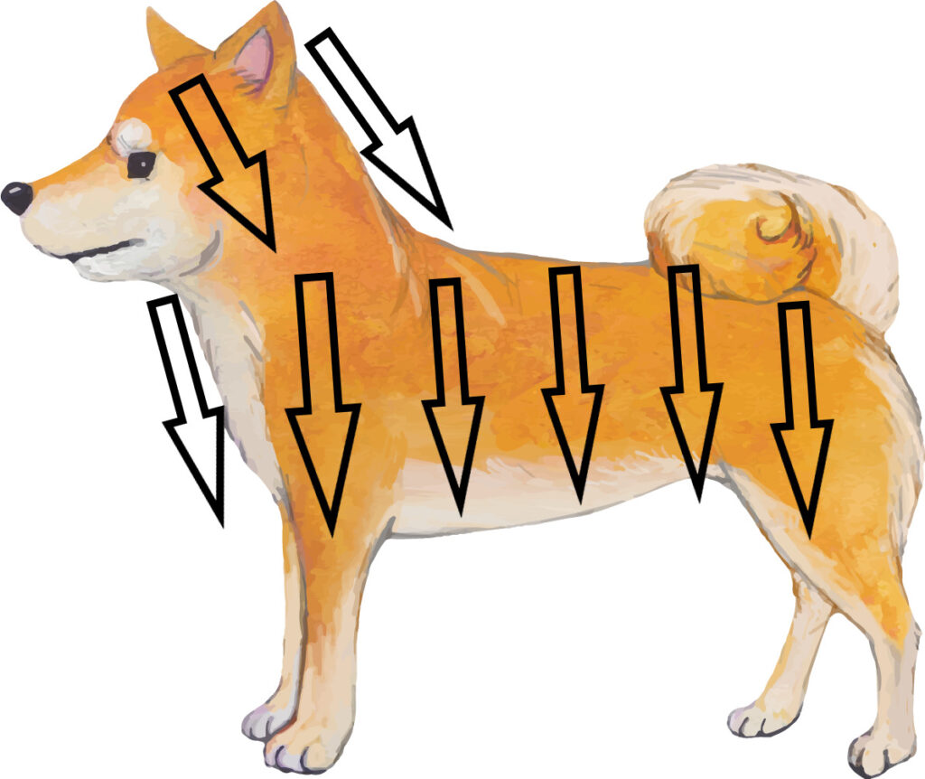 イラスト付き 自分でシャンプーするときのおすすめのやり方 きちんとズボラ