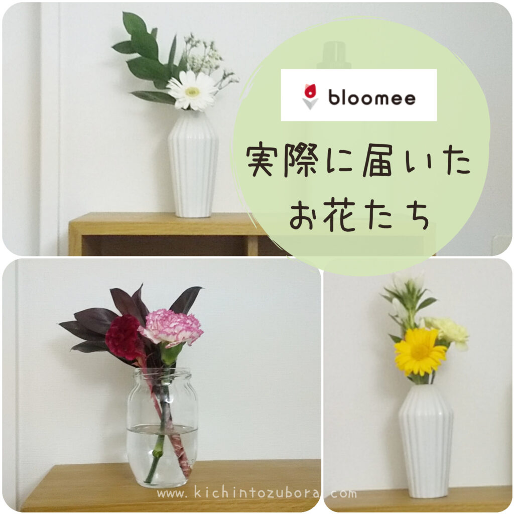 Bloomee ブルーミー の口コミ 解約できないの 申し込み 再開方法は 体験談 きちんとズボラ