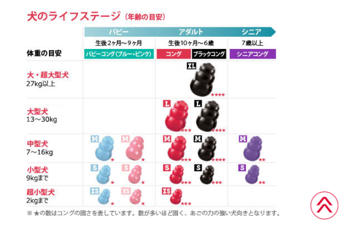 コングの種類やサイズを徹底調査 あなたにおすすめなのはコレ 元動物看護師のリアル きちんとズボラ